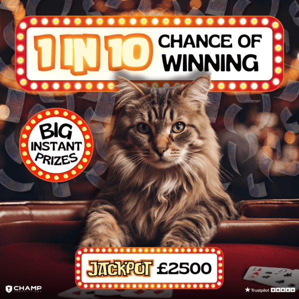 1in10 Chance Of Winning - BIG INSTANT PRIZES!