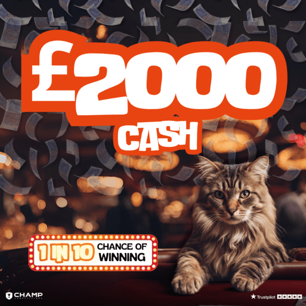 1in10 Chance Of Winning - BIG INSTANT PRIZES! - Image 4