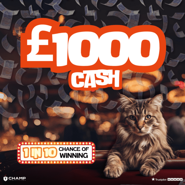 1in10 Chance Of Winning - BIG INSTANT PRIZES! - Image 8
