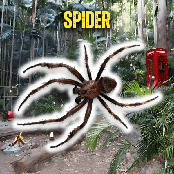 I'm a Champ, Get Me Out Of Here 🦟🪲🕷️ EVERY TICKET WINS! - Image 21