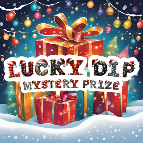 Mystery Prize Every Time - Santa's Sack! 🎅🏼 - Image 4