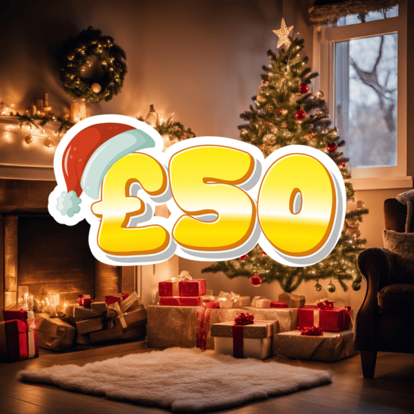 Mystery Prize Every Time - Santa's Sack! 🎅🏼 - Image 7