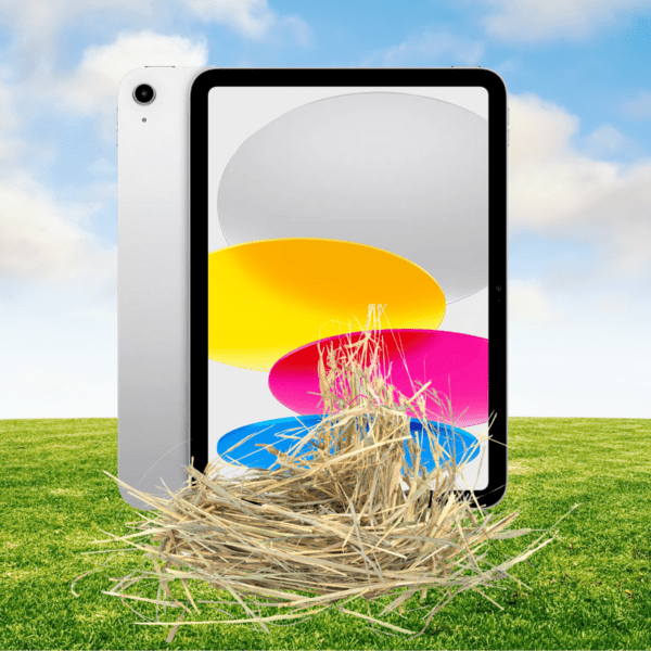 Mystery Easter Egg and Bullion Hunt 🪺 Prize Every Time! - Image 5