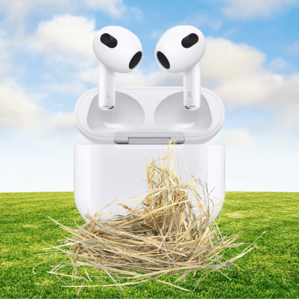 Mystery Easter Egg and Bullion Hunt 🪺 Prize Every Time! - Image 7