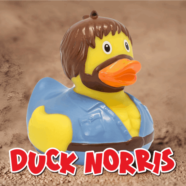 Mystery Prize Every Time - Hook A Duck! - Image 10