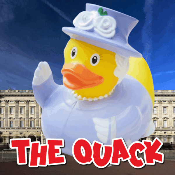 Mystery Prize Every Time - Hook A Duck! - Image 2