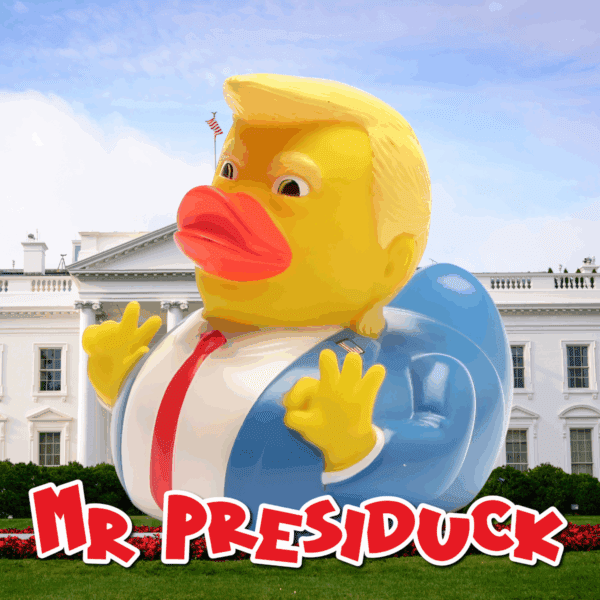Mystery Prize Every Time - Hook A Duck! - Image 3