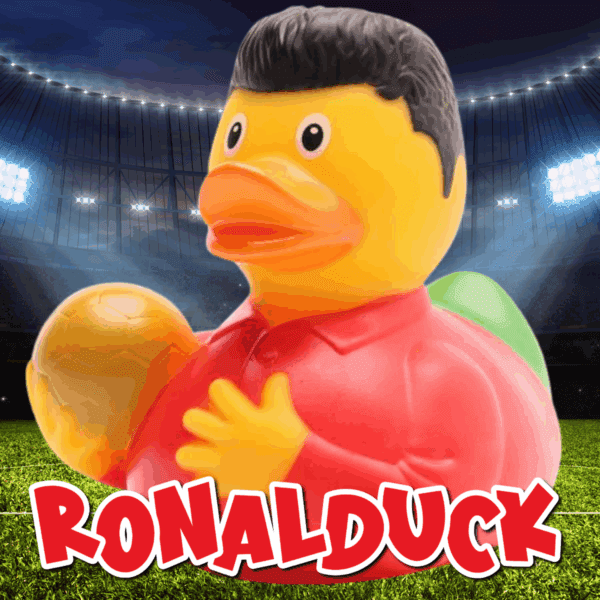 Mystery Prize Every Time - Hook A Duck! - Image 5