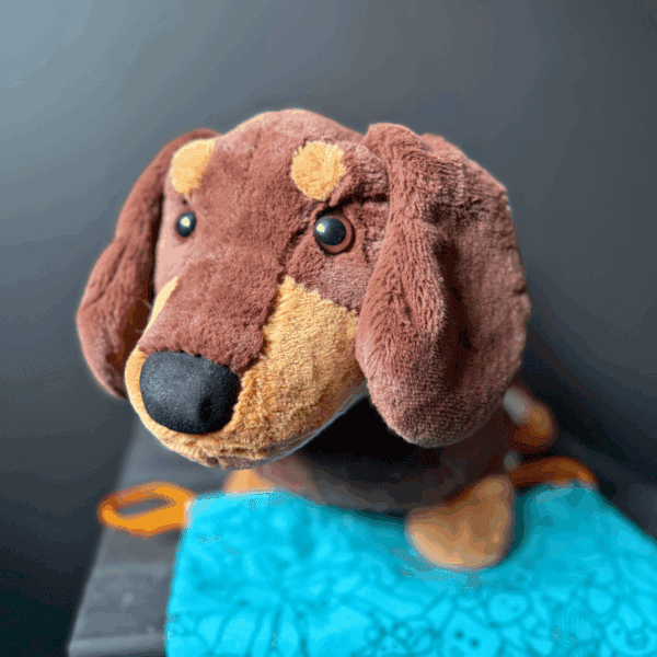 Win This Large Otto Sausage Dog JellyCat! *INSTANT WINS* - Image 2