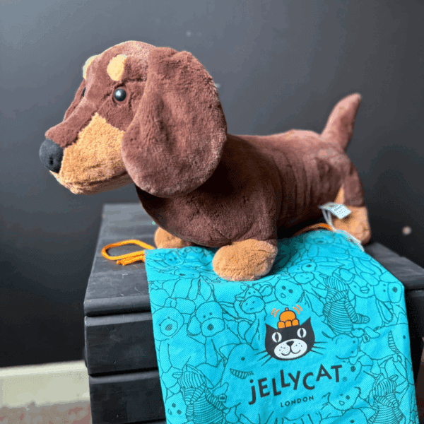 Win This Large Otto Sausage Dog JellyCat! *INSTANT WINS* - Image 3