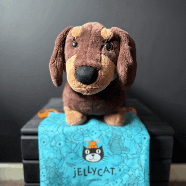 Win This Large Otto Sausage Dog JellyCat! *INSTANT WINS* - Image 4